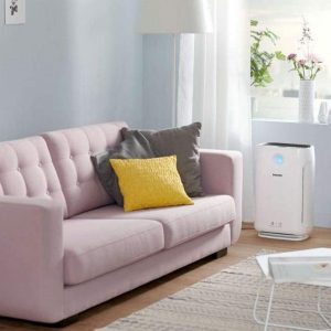 Màng Lọc Không Khí Hepa Philips FY2422/30 6 Màng Lọc Không Khí Hepa Philips FY2422/30