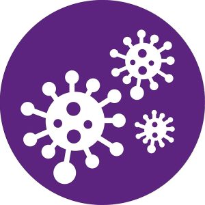 Màng Lọc Không Khí Hepa Philips FY2422/30 5 Màng Lọc Không Khí Hepa Philips FY2422/30