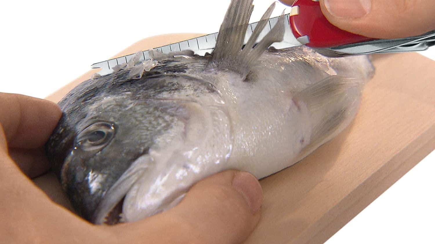 Dụng Cụ Đa Năng Victorinox Fisherman 1.4733.72 Dụng Cụ Đa Năng Victorinox Fisherman 1.4733.72