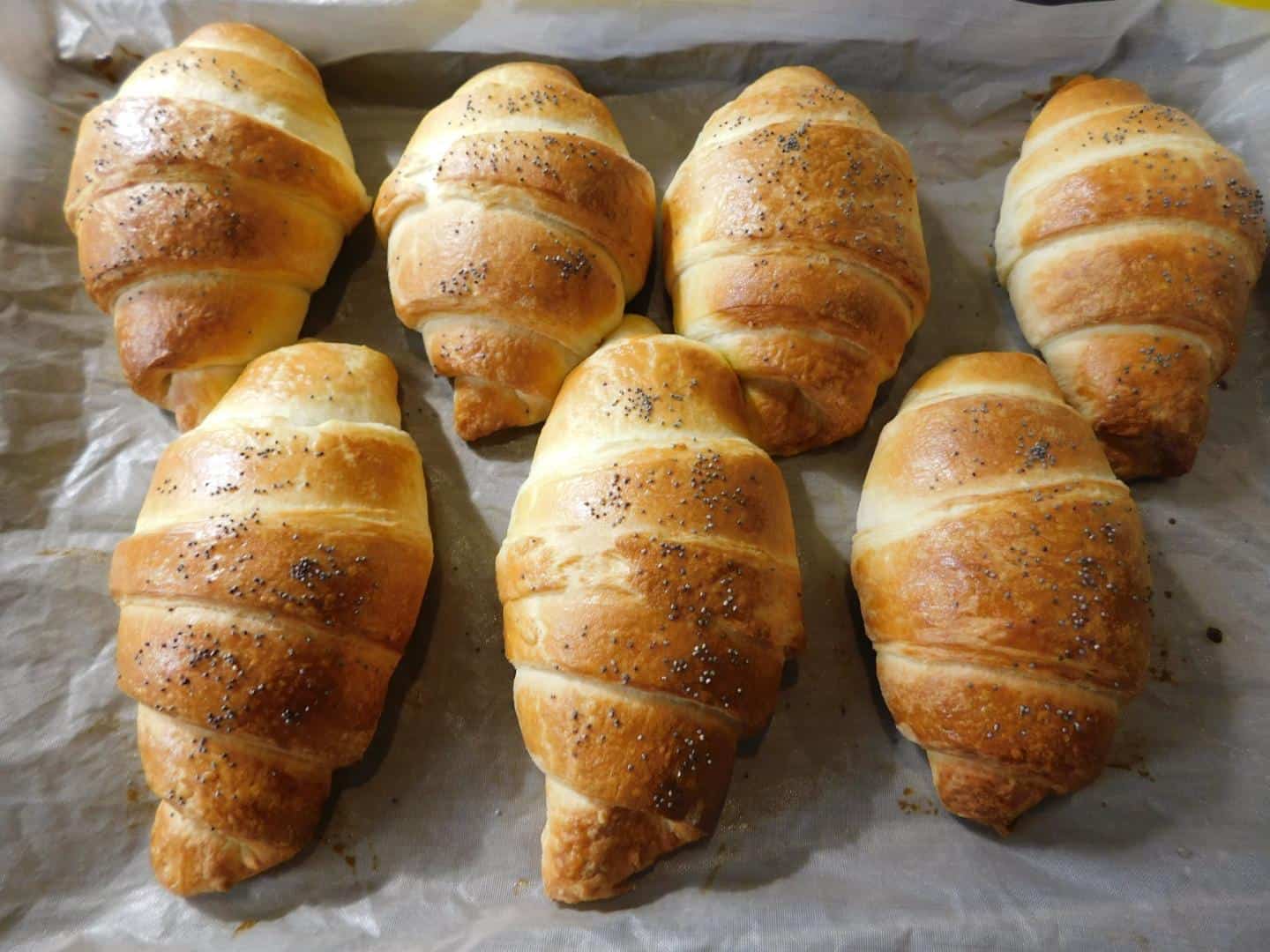 10+ Công Thức Làm Bánh Mì Bằng Lò Nướng Tại Nhà Cập Nhật Liên Tục 16 Cách Làm Bánh Mì Sừng Trâu Bằng Lò Nướng