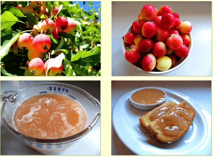 Cách Làm Mứt Và Thạch Với Máy Làm Bánh Mì Của Bạn 7 Cách làm thạch táo với máy làm bánh mì