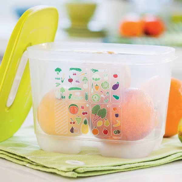 Tupperware Trong Máy Rửa Bát Có An Toàn Không? 7 Tupperware Trong Máy Rửa Bát Có An Toàn Không?