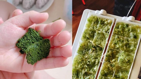 Những điều cần biết về tận dụng bã trái cây sau khi ép 4 Có nhiều cách tận dụng bã trái cây sau khi ép