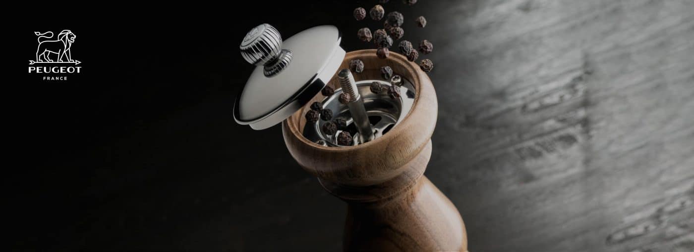 Cover web MHW peugeot 1